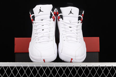 AIR JORDAN 12