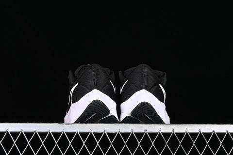 AIR ZOOM PEGASUS